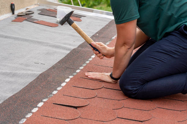 Roof Inspection